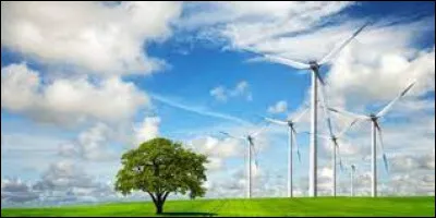 En 1998, quel groupe français a délivré sa balade écolo intitulé "L'hymne de nos campagnes" ?