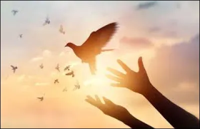 Durant quel évènement est-il possible de voir un lâcher de colombes ?