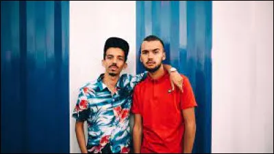 Avec qui Bigflo et Oli partagent-ils un duo sur la chanson "Coup de vieux" sorti en 2022 ?