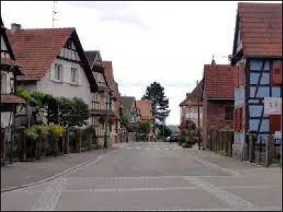 Commune du parc naturel r&eacute;gional des Vosges du Nord, dans l'arrondissement de Haguenau-Wissembourg, Fr�schwiller se situe dans le d&eacute;partement ...