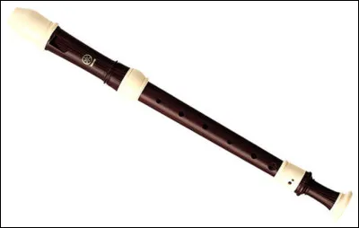De quelle famille d'instrument la flûte à bec fait-elle partie ?