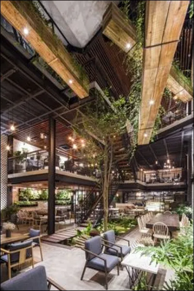 Quel genre de restaurant préfères-tu ?