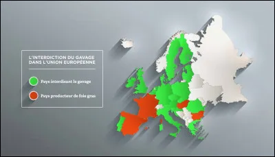 Quel pays est le plus gros producteur de foie gras ?