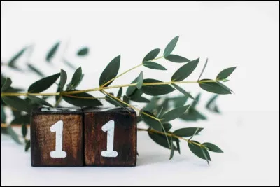 Quel corps le numéro atomique 11 désigne-t-il ?