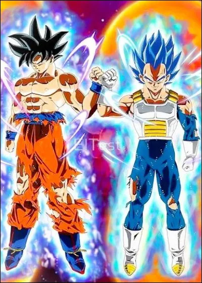 À quelle race appartiennent Goku et Vegeta ?