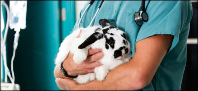 Quelle couleur de yeux préfères-tu ?