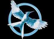 Quiz 'Hunger Games' : impossible davoir 10/10  ce vrai ou faux sur Katniss