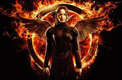 Lors des 75e Hunger Games, Katniss et Peeta forment une alliance avec 8 autres tributs.