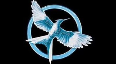 La couleur préférée de Katniss est l’orange.