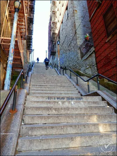 Bronx : dans quelle ville américaine est situé ce quartier ?