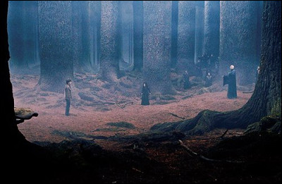 Pourquoi Harry nest-il pas mort dans le septième film (partie 2) quand Voldemort a jeté le sort : "Avada Kedavra" ?