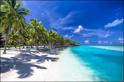 Quel en est le sport national ?