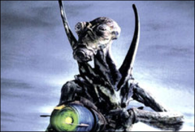 Sur quelle plan&egrave;te peut-on trouver cette esp&egrave;ce ?