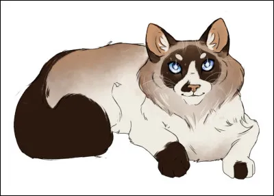 Qu'était Tornade de Poussière avant de devenir apprentie puis guerrière du clan du Tonnerre ?