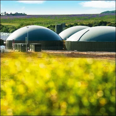 Quel biocarburant obtenu par m&eacute;thanisation est plus r&eacute;pandu en Asie qu�en Europe ?