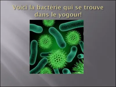 Les bactéries sont :