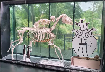 La ville de Toulouse possède un muséum d'histoire naturelle.