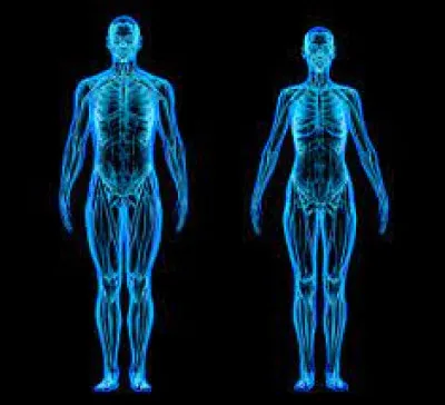 La chute peut être de quoi concernant le corps humain ?