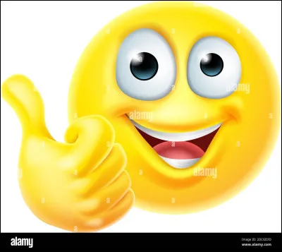 Quelle est ta principale qualité ?