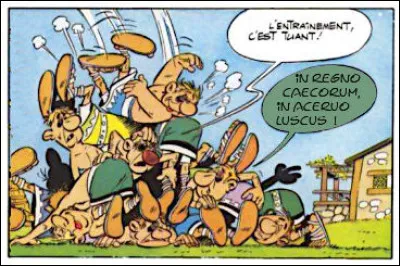 Ne peut-on pas y déceler parfois quelques réminiscences bibliques ?