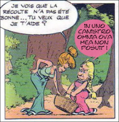 Et comme on le voit ici, cette même veine populaire est friande dambiguïtés et de sens doubles...