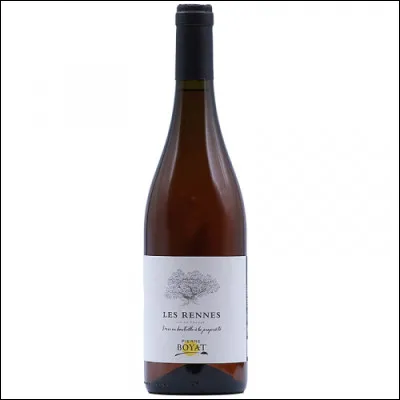 Sur la photo, c'est une bouteille de vin breton qui est représenté.