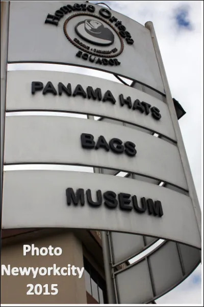 Le panama est un couvre-chef en fibres végétales, originaire du Panama.