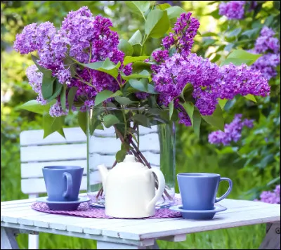 "Un jour de neige embaumé de lilas".