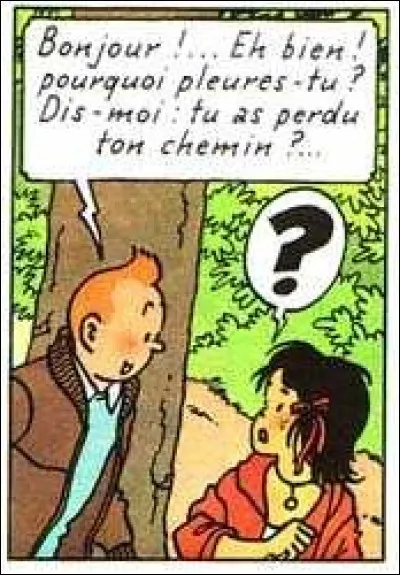Qui est cette jeune bohémienne dans l'album "Les Bijoux de la Castafiore" ?