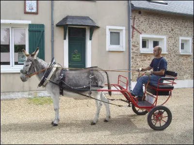 Un âne ne peut pas être attelé.