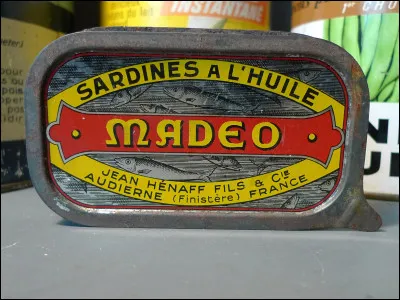 Nom donné à un puceron souvent nuisible aux plantes cultivées !