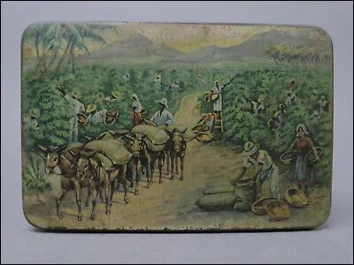 Persan, siamois, sphynx !