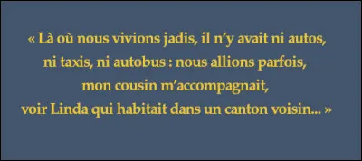 Comment s'appelle cette figure de style où l'on omet volontairement une lettre de l'alphabet ?