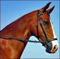 Que doit-on dboucler pour dbrider ?