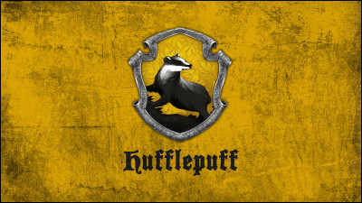 Quel est le nom du professeur de métamorphose ?