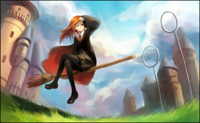 Quel est le poste de Harry au Quidditch ?