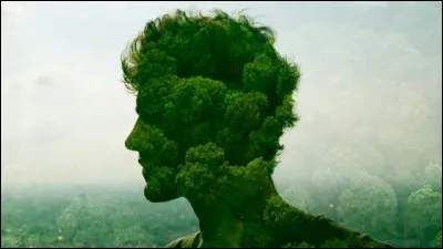 Nature : Laquelle de ces forêts ne situe pas dans la région Hauts-de-France ?