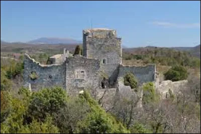 Village de la vallée du Rhône, dans l'aire d'attraction Montilienne, Rochefort-en-Valdaine se situe dans le département ...