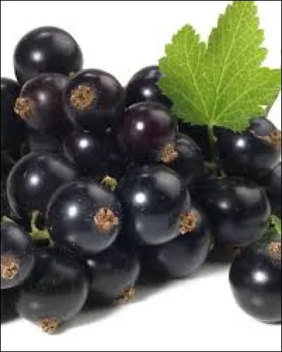 Quel est ce bonbon ?