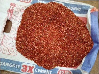 Pour Victoria Holt, combien de lanternes a la maison ?