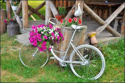 Bicyclette : quelle est la couleur de celle de Régine Deforges, dans le titre de son livre ?