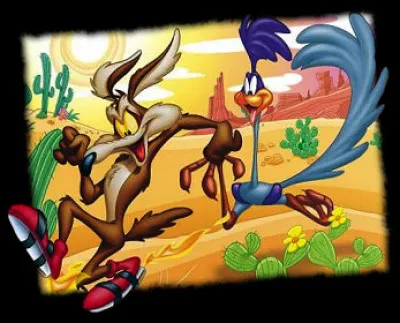 Bip Bip : que sont ces célèbres oiseaux, ennemis de Vil Coyote ?