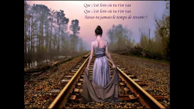 Qui chantait "J'entends siffler le train" ?