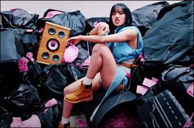 Quelle est cette référence ?