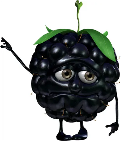 Comment dit-on "une mûre" en espagnol ?