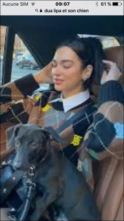 Comment s'appelle son chien ?