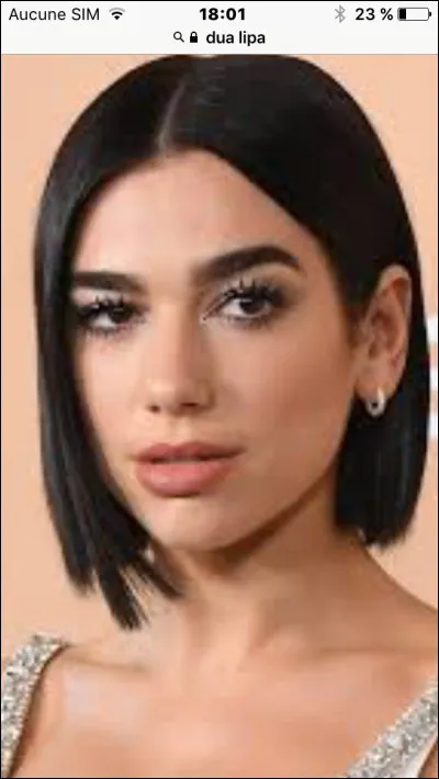 Dua lipa a-t-elle des frères et soeurs ?