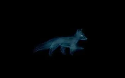 À qui est ce patronus ?