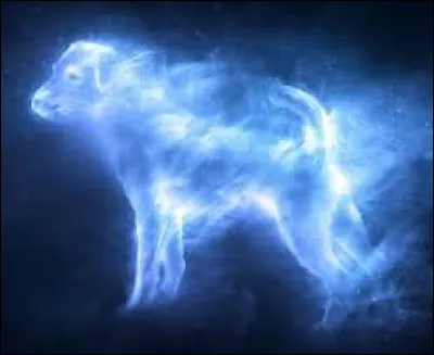 À qui est ce patronus ?