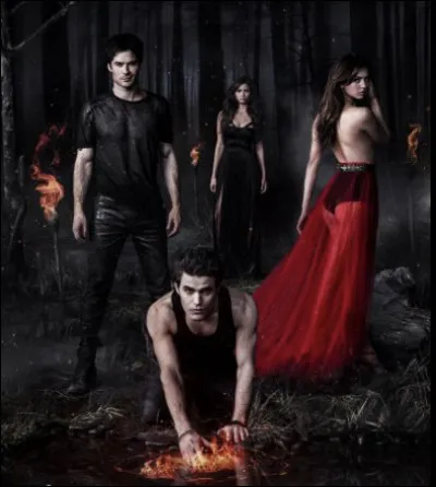 Quelle est cette série ?